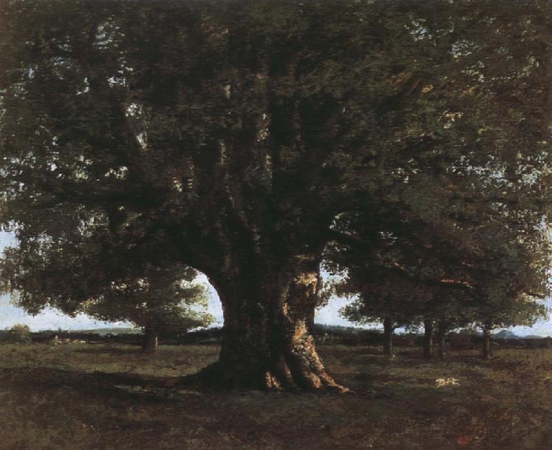 Gustave Courbet Tree Sweden oil painting art